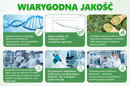 🔥👨‍⚕️Oficjalny sklep | 💯𝐏𝐙𝐆𝐎𝐍𝐄® Moringa·Berberyna×NAD+ 10-w-1 Plaster (Natychmiastowy efekt, widoczne rezultaty po 7 dniach) ✅ Stosowane w celu utraty wagi, poprawy zwiotczałej skóry, leczenia cukrzycy, bezdechu sennego i problemów ze stawami.